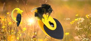 fred-kelly-bumblebee-single-thumb-pick.jpg
