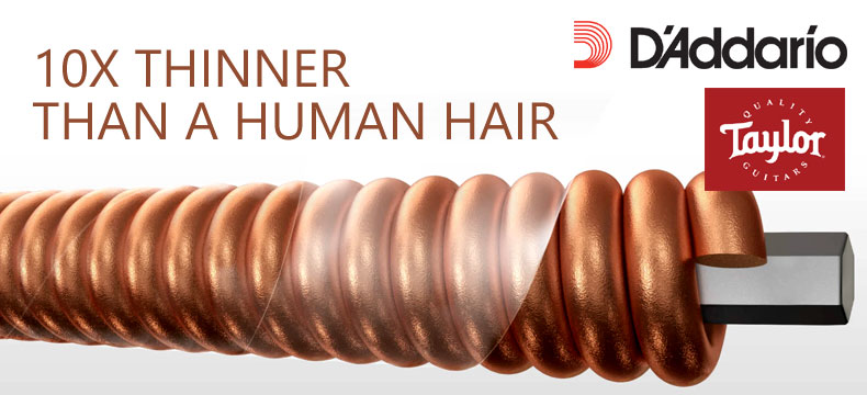 Why Taylor Guitar Chose D'Addario XS Coated Strings Why Taylor Guitar Chose D'Addario XS Coated Strings